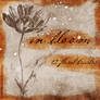 In Bloom - 12 floral brushes