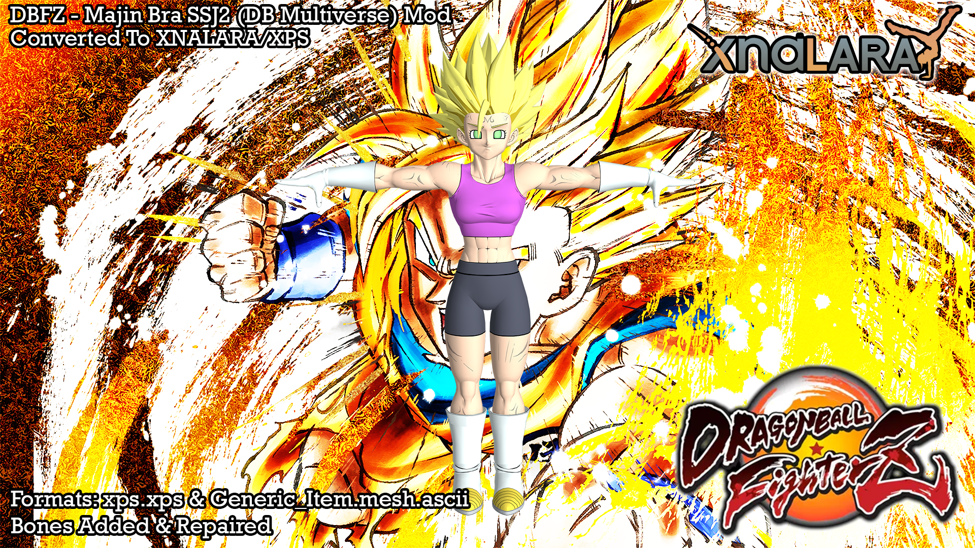 Bra (Universe 16) Multiverse – Xenoverse Mods