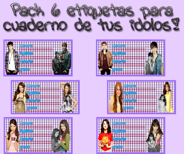 Pack 6 etiquetas para cuaderno de tus idolos