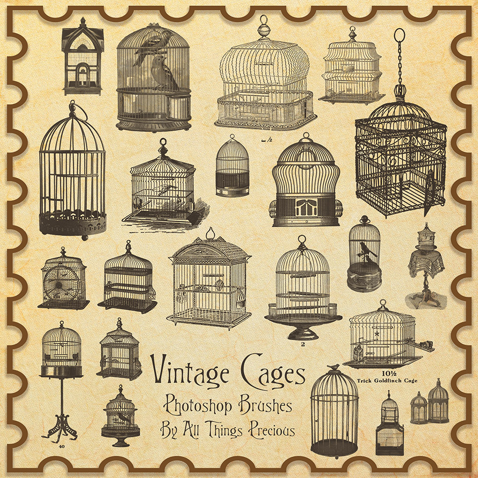 Vintage Birdcages Brushes