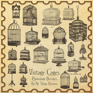 Vintage Birdcages Brushes