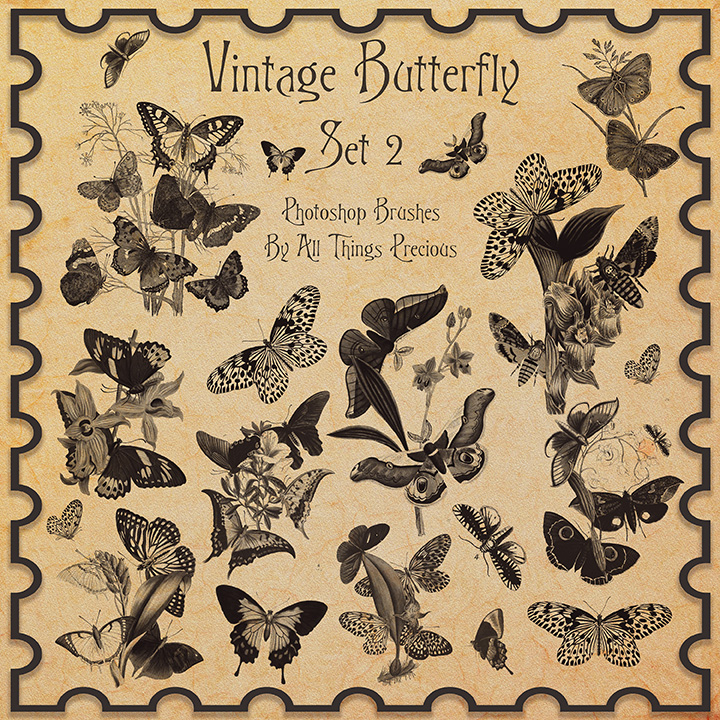 Vintage Butterflies SET 2 Brushes