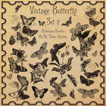 Vintage Butterflies SET 2 Brushes