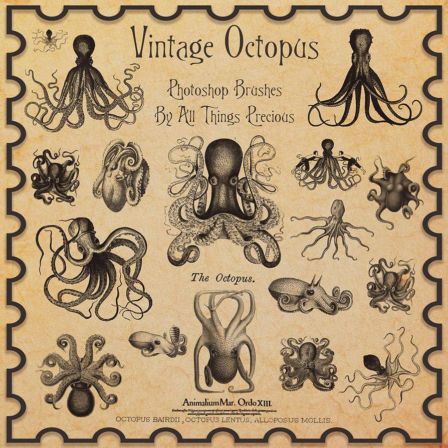 Vintage Octopus Brushes by ATPTextures on DeviantArt