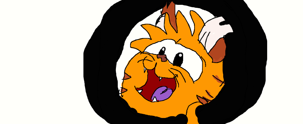 Puffle gato