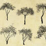 198 cutout trees