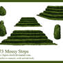 373 Mossy Steps