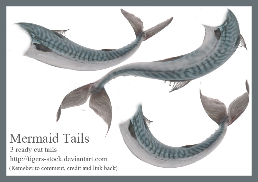 484 mermaid tails