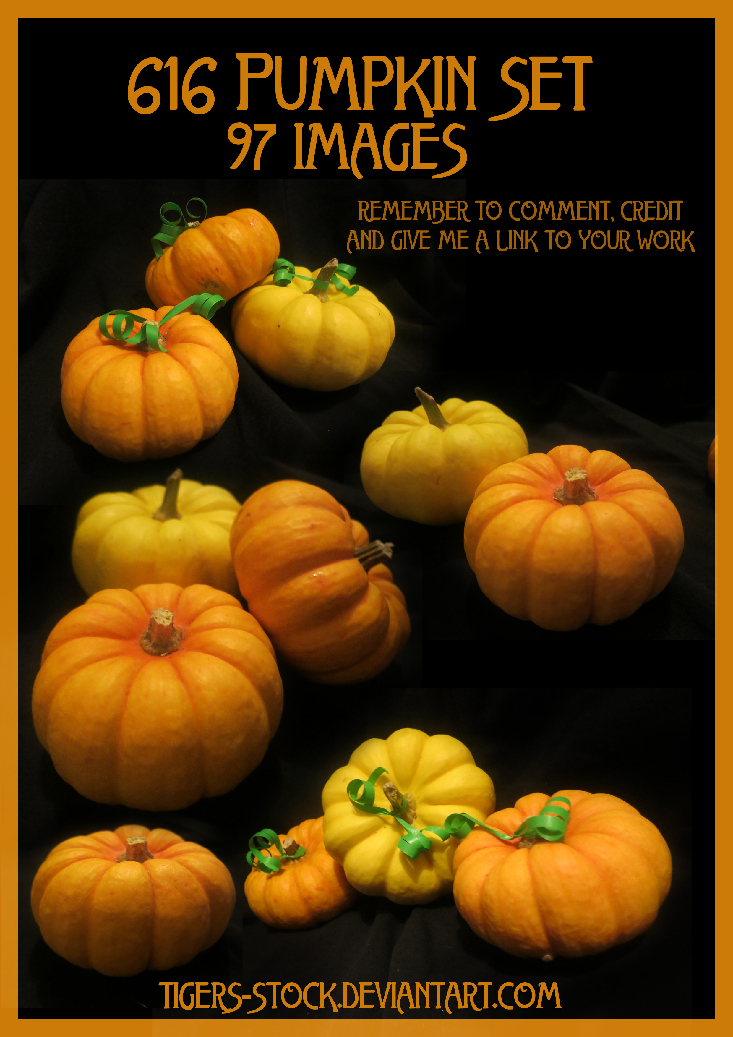 616 Pumpkin Set