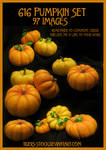 616 Pumpkin Set by Tigers-stock