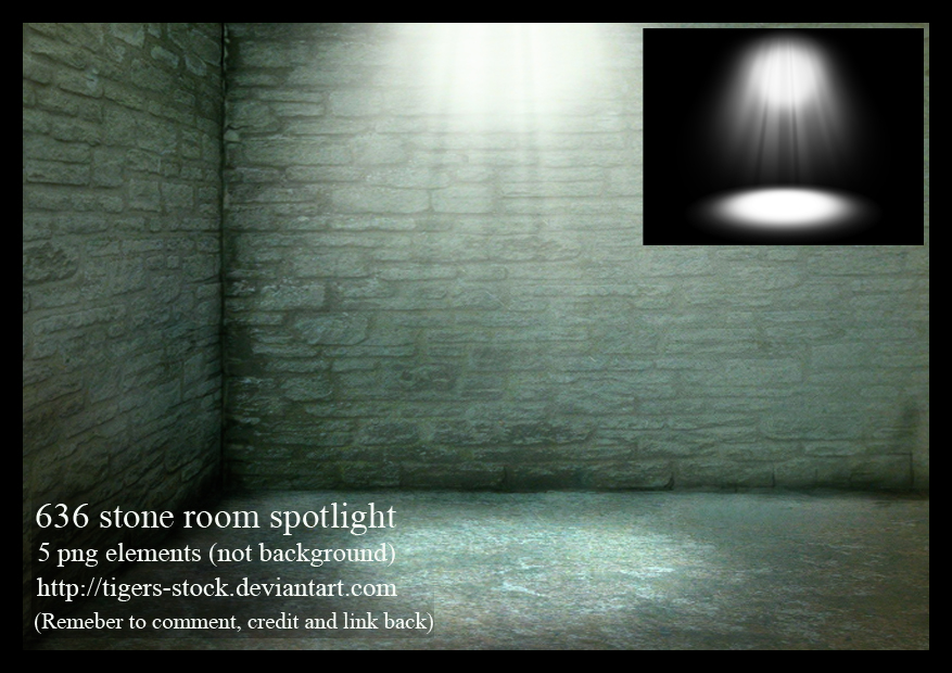 636 Stone Room Spotlight