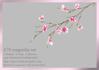 678 Magnolia Set