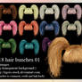 718 Hair Bunches 01
