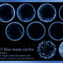 755 Blue Manna Circles
