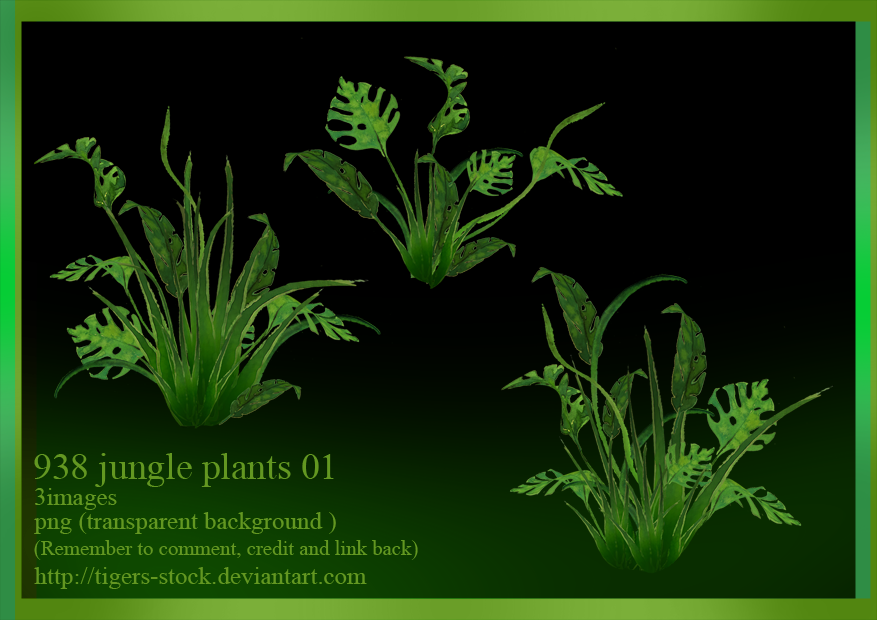 938 Jungle Plants 01 by Tigers-stock on DeviantArt