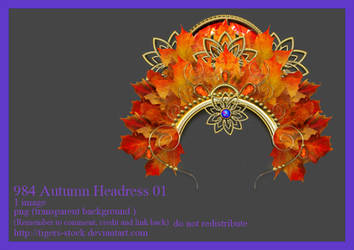 984 Autumn Headress 01