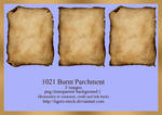 1021 Burnt Parchment