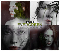 PSD 1 - Evergreen