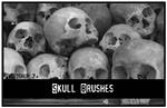 Skull brushes