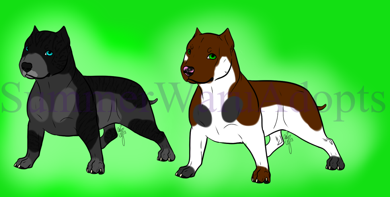 American bully breedables