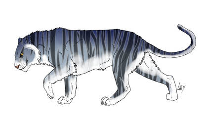 Blue Tiger Adopt (OPEN) (10-60points)
