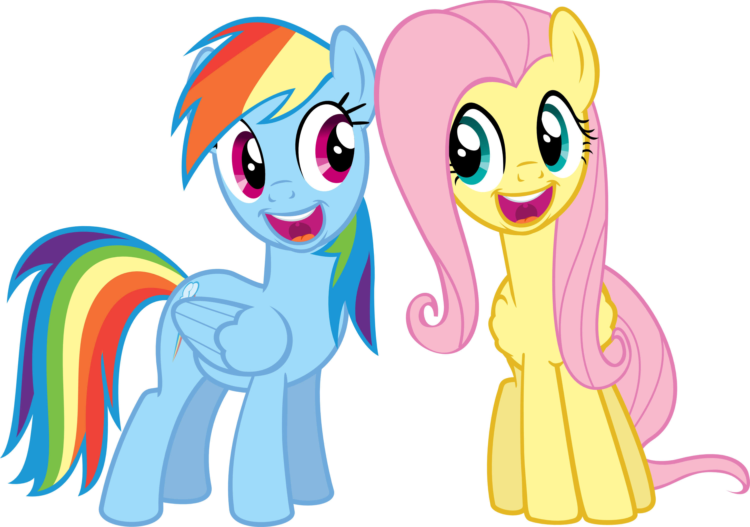 My Little Pony Fluttershy And Rainbow Dash