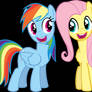 Rainbow Dash+Fluttershy Duet