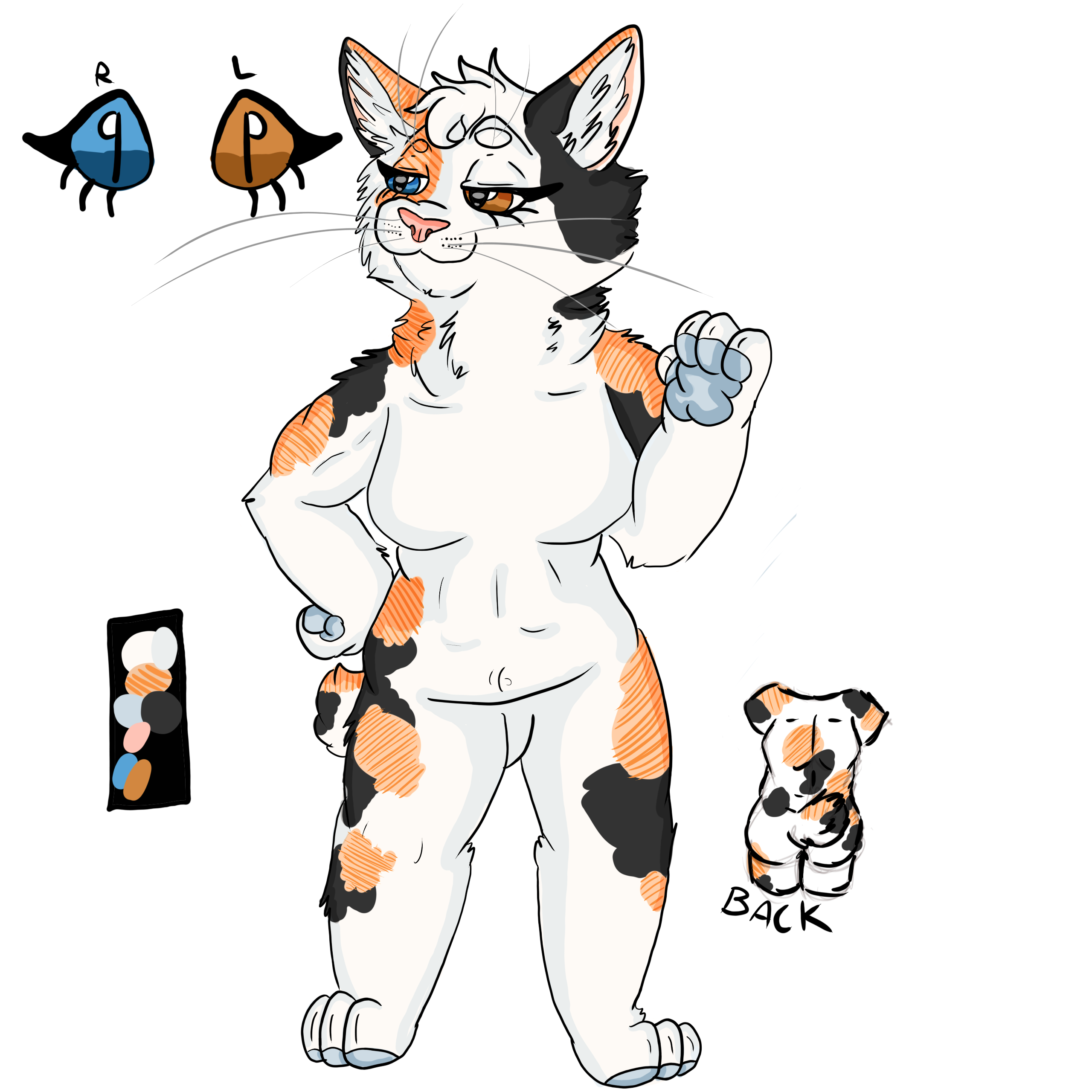 koi ref pt1 by TARDISCHASER42 on DeviantArt
