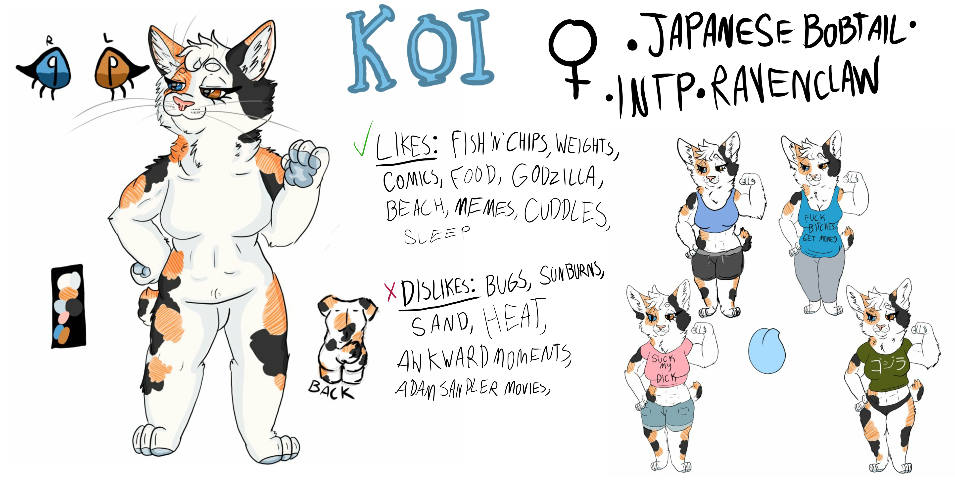 koi ref by TARDISCHASER42 on DeviantArt