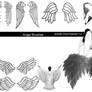 Angel Wing Brush Set for 7.0