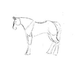 Horse Animation Attempt