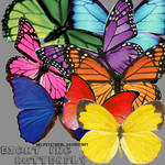 Eight Butterfly PNG-