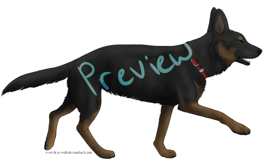 Free GSD Puppy Lines by Strayay on DeviantArt
