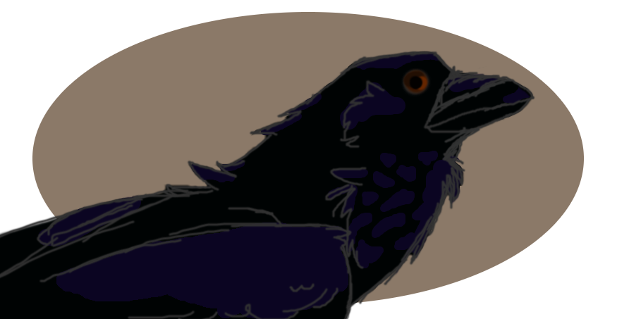 Crow by glowb on DeviantArt