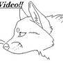 Simple Wolf Head MSP Video
