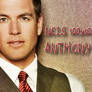 Anthony DiNozzo