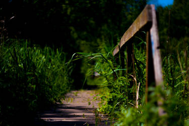 Bridge in Park Kampinoski (Poland, near Warsaw)