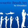Silhouette Brush Set 10