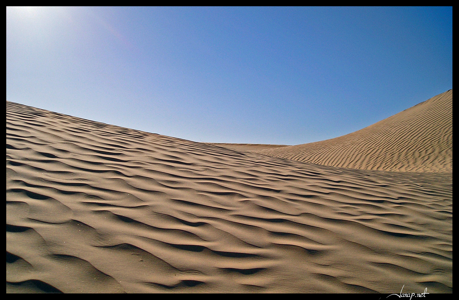 Sahara evening