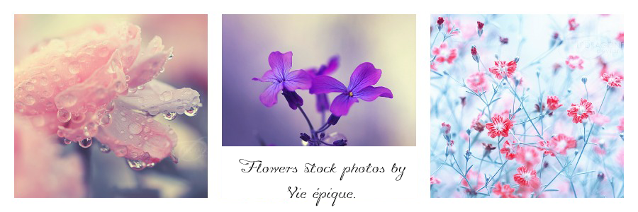 Flowers Stock Photos By Vie Epique