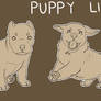 P2U | Puppy Lines