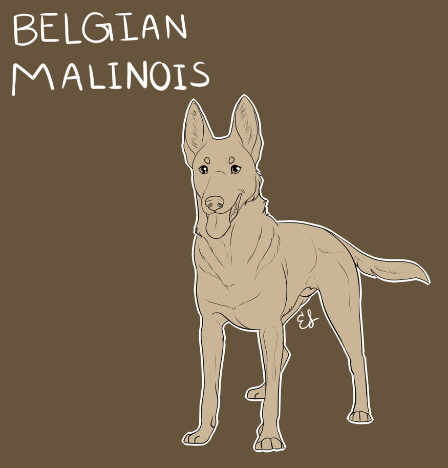 P2U | Belgian Malinois Lines by EquestrianJade on DeviantArt
