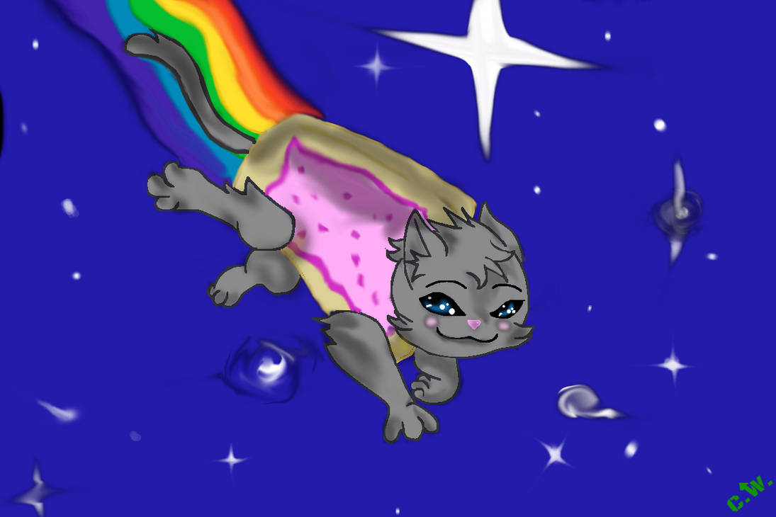 Nyan Cat by ShadowSteele on DeviantArt