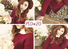 PSD#20