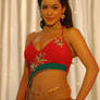 Tollywood Actress Item Song Photos