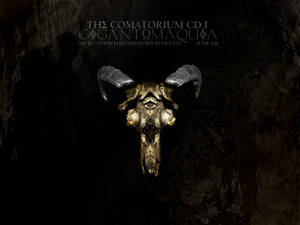 The Comatorium CD I WP 5