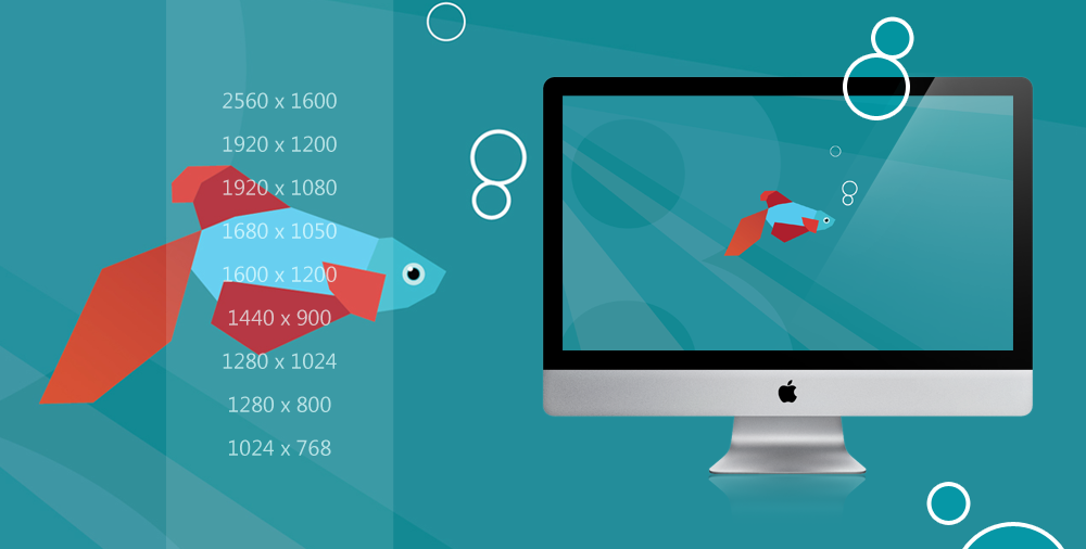 Windows 8 : Beta Fish wallpaper pack