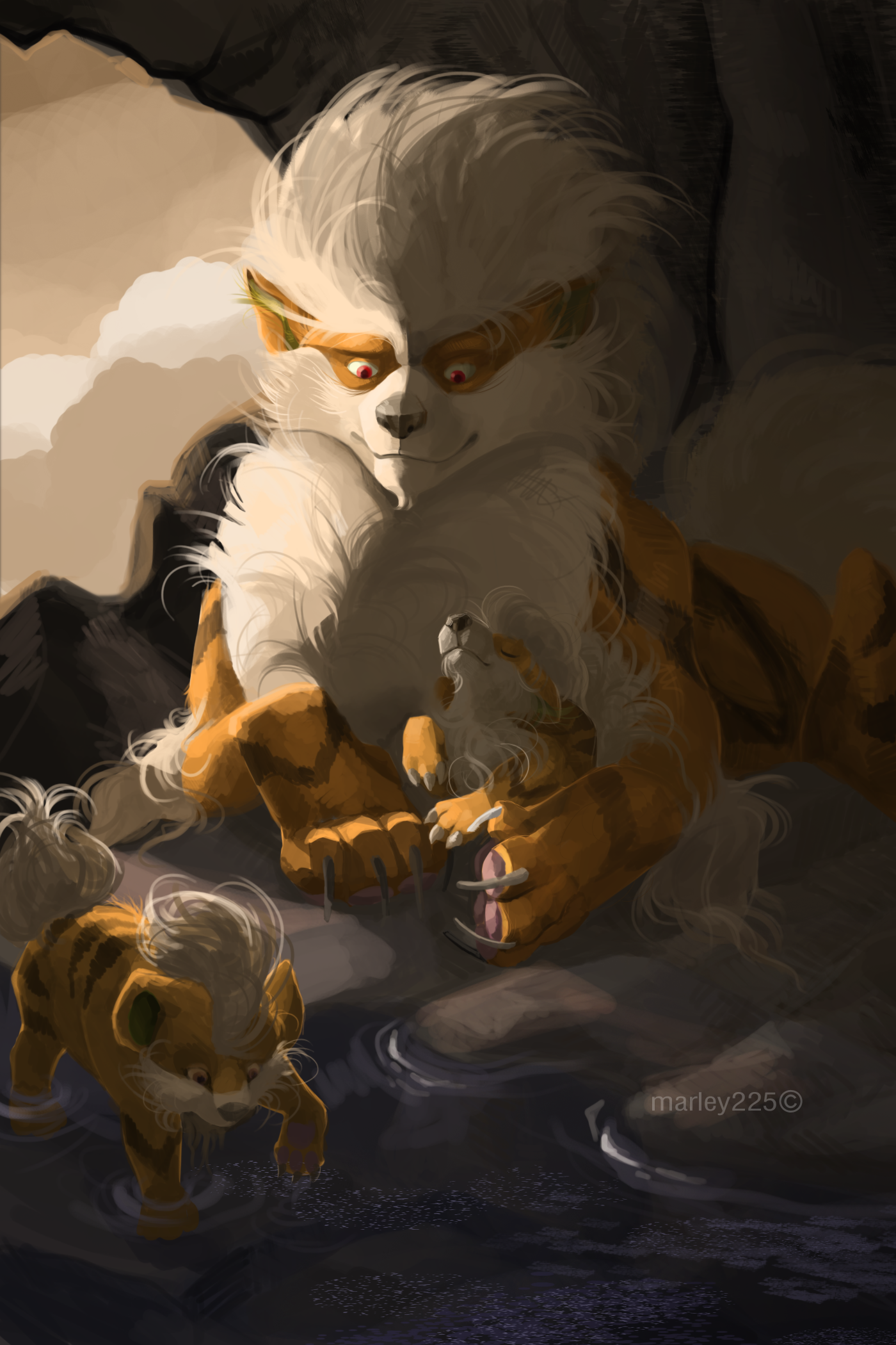 ARCANINE - DMAP entry