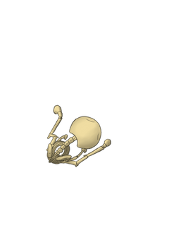 Skeleton asset pack (3/4) Krita file