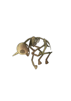 Skeleton asset pack (4/4) Krita file